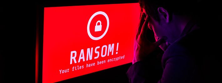 According To a Survey, 83% of Ransomware Victims Paid a Ransom